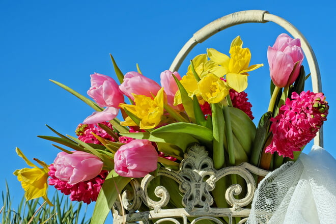 <b>In den Ferien ist unser B&uuml;ro nur Zeitwiese ge&ouml;ffnet.</b><br>Bitte rufen Sie uns vor ihrem Besuch kurz an.
